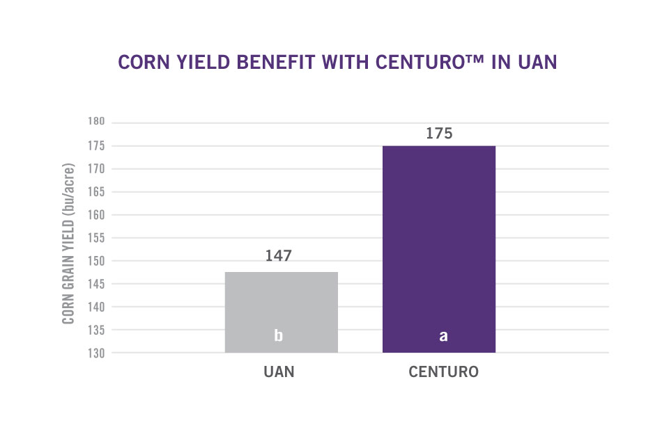 centuro in UAN